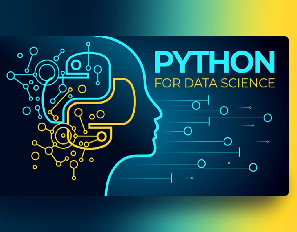 python-programming course